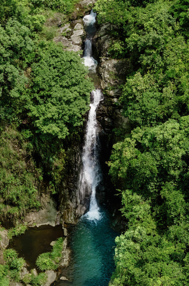 开赛！深圳坪山“燃”起来啦！