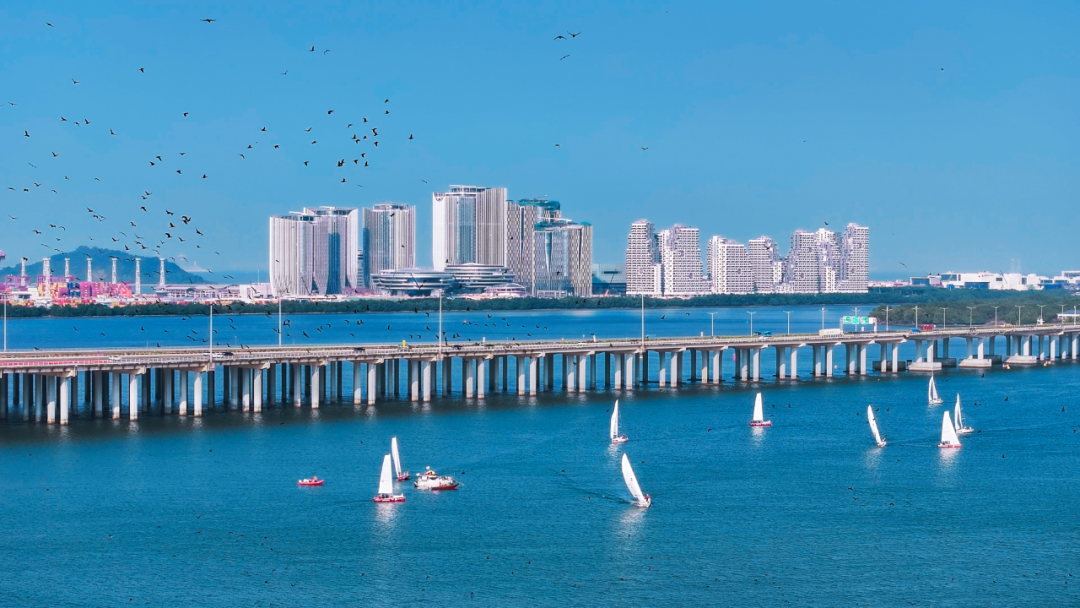 精彩宝安，不止一面！