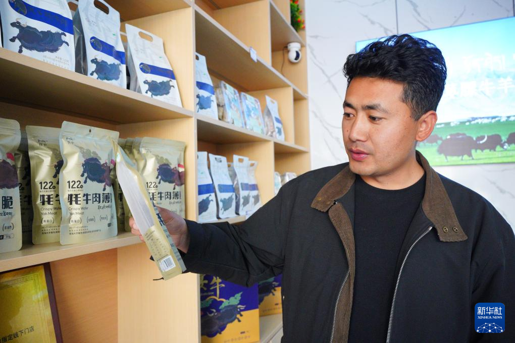 祁连山下的“新牧歌”