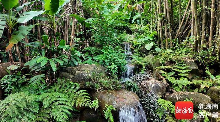 雨林吸氧+浪尖逐潮+航天探秘！海南“两环”旅游公路藏着多少惊喜？