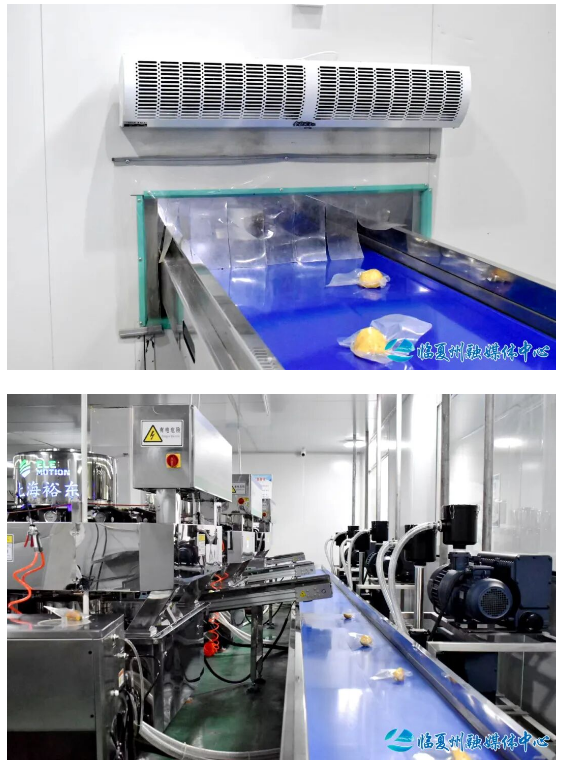 甘肃东乡：从一粒玉米到多元产品