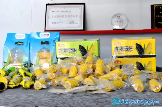 甘肃东乡：从一粒玉米到多元产品