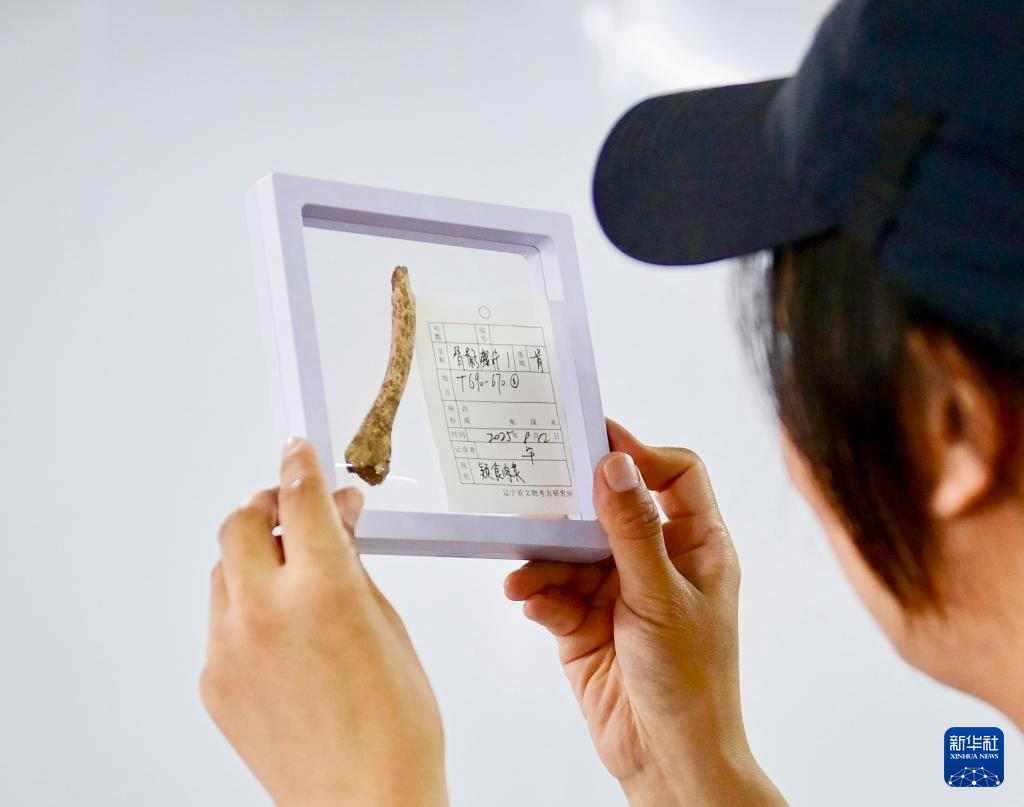 文化中国行·守宝人｜徒步山野间 守护红山文化