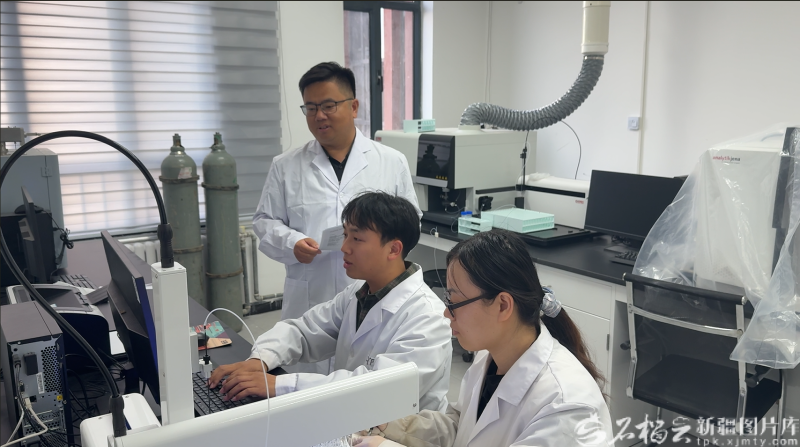 新疆棉秆如何点“草”成金