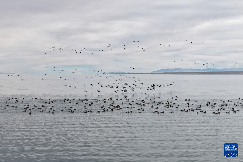 大、小苏干湖:咸淡相连的高原“姊妹湖”