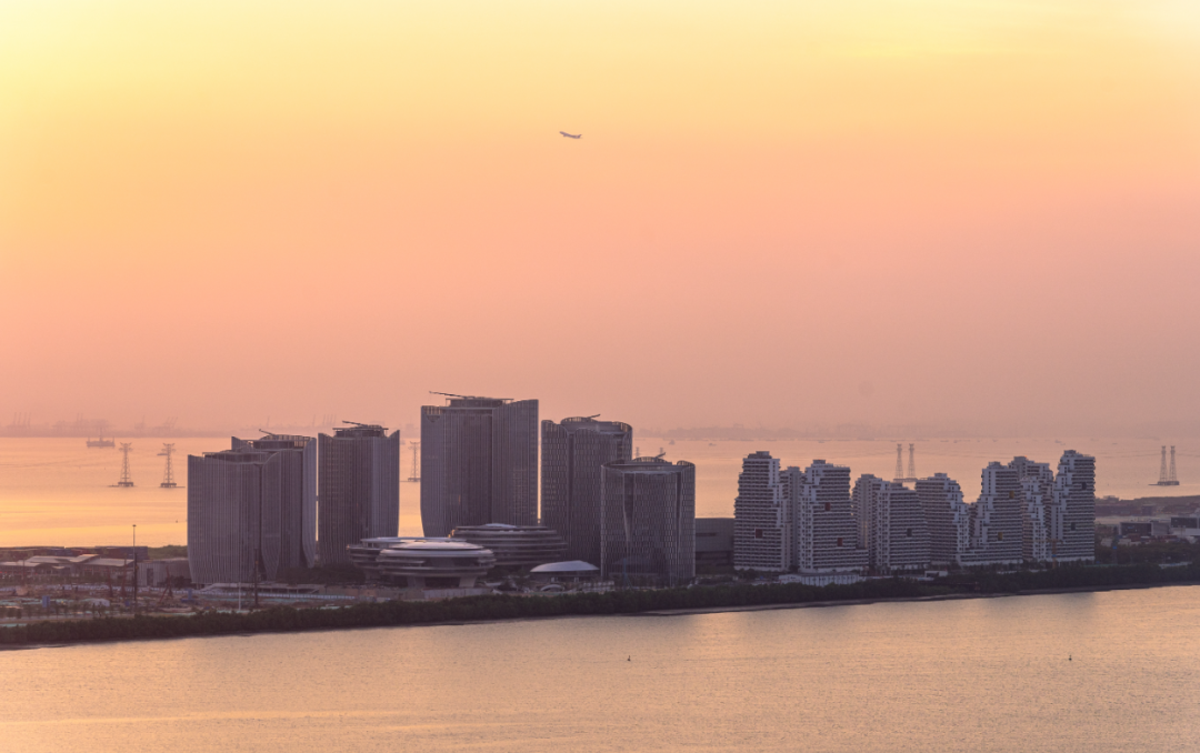 看!是“科技肌肉”! 图片