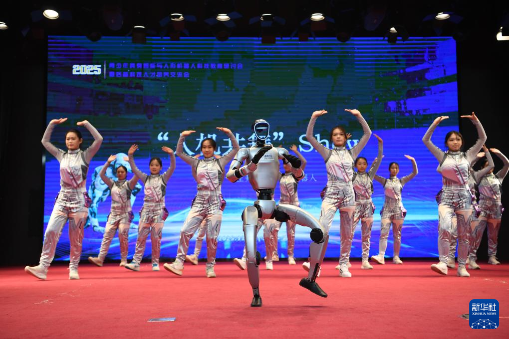 青少年具身智能与人形机器人科技教育研讨会在京举行