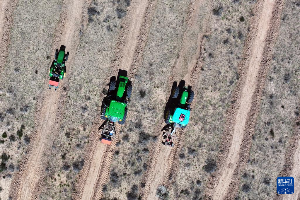 内蒙古5年完成防沙治沙6688万亩