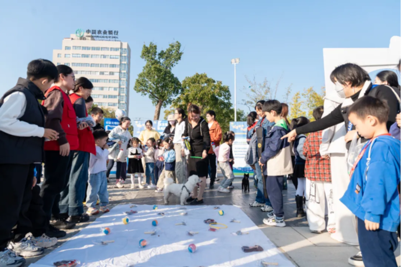 萌“宠”集结 文明同行 南通海门这场集市让宠爱与文明“双向奔赴”！