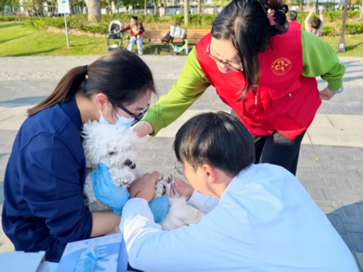 萌“宠”集结 文明同行 南通海门这场集市让宠爱与文明“双向奔赴”！