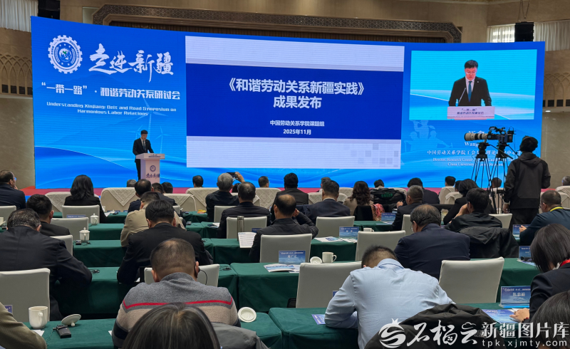《和谐劳动关系新疆实践》成果发布