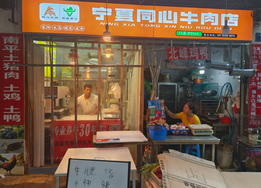 宁夏同心：肉牛养殖户不再盼天寒