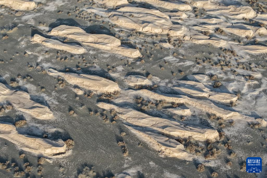 探访世界文化遗产点锁阳城遗址