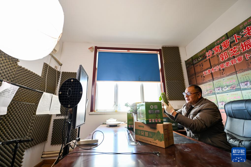 天津:沙窝萝卜迎来丰收季