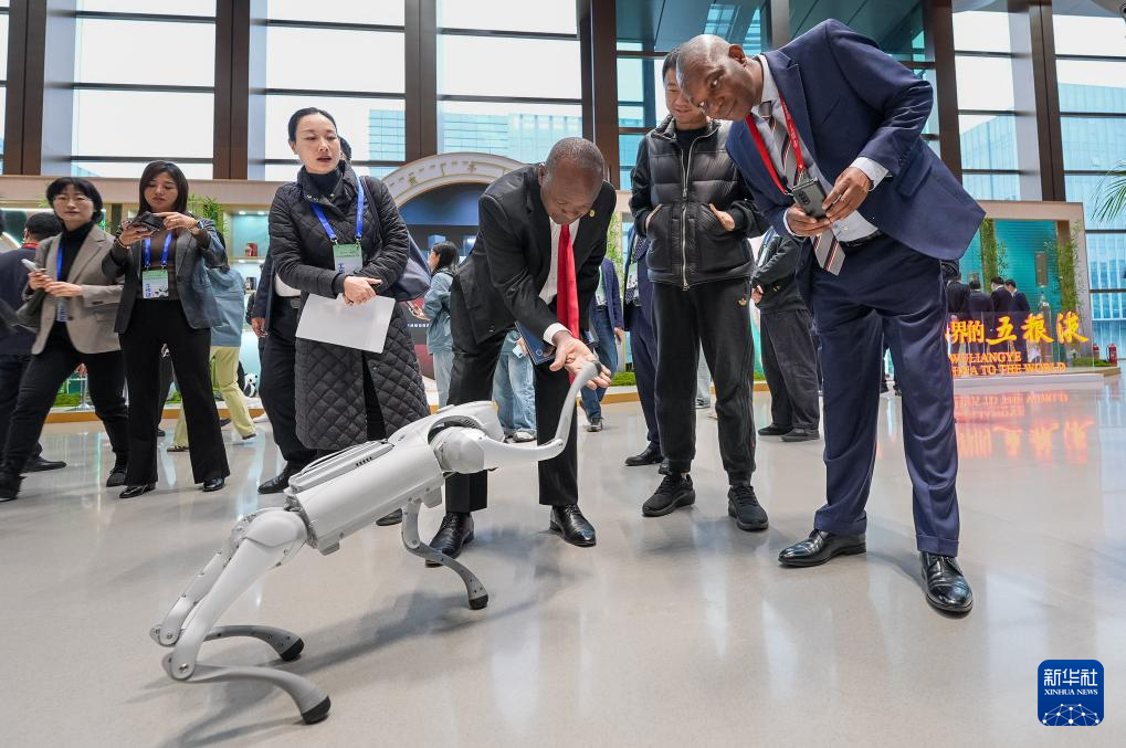 2025全球熊猫伙伴大会开幕