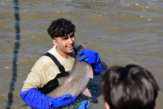 又是别人家的学校！师生一起下湖捕鱼太欢乐！