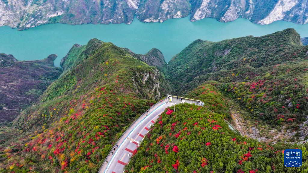 红叶扮靓长江巫峡