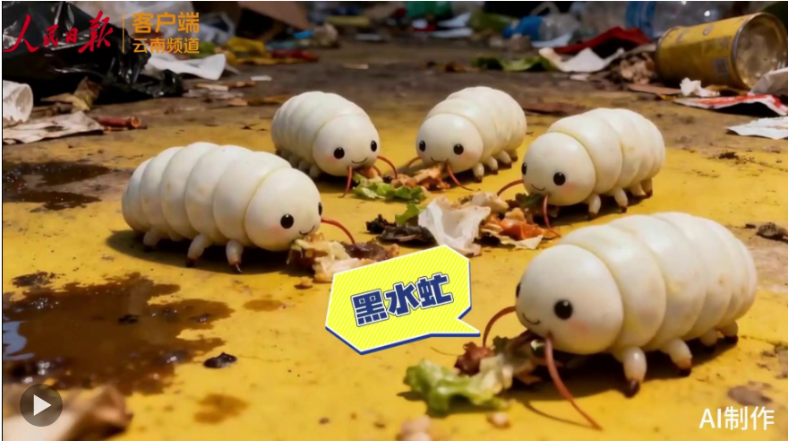 狂炫垃圾，这些小虫子竟是“移动垃圾处理厂”？