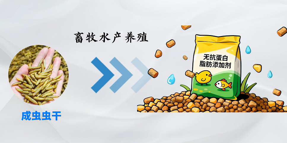 狂炫垃圾，这些小虫子竟是“移动垃圾处理厂”？