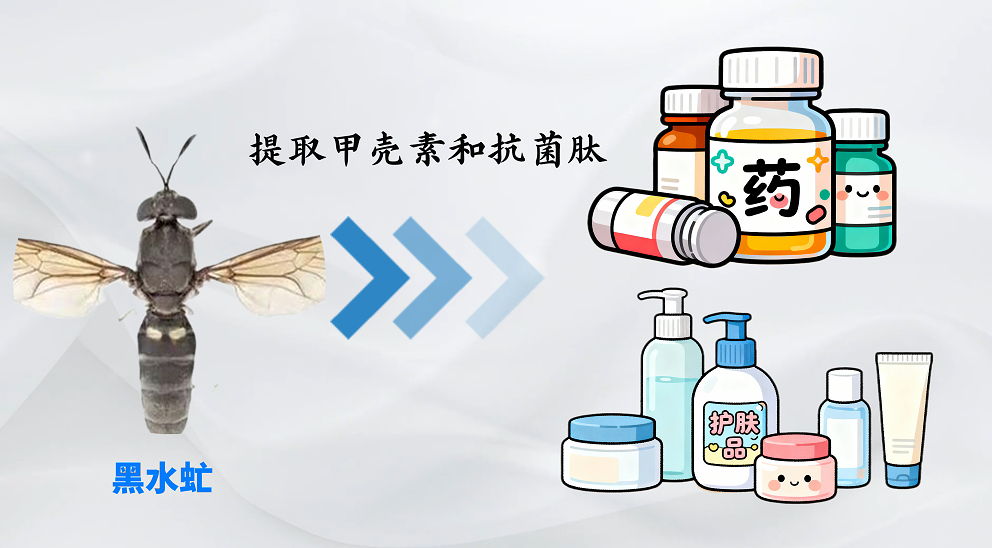 狂炫垃圾，这些小虫子竟是“移动垃圾处理厂”？