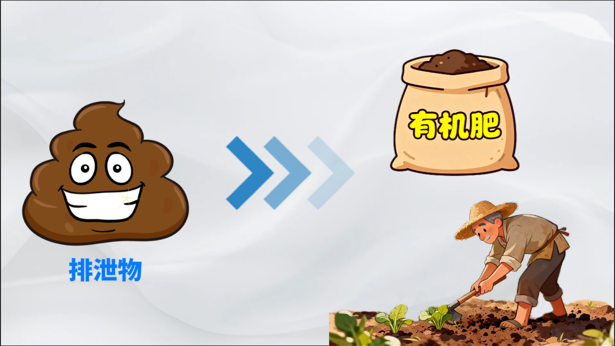 狂炫垃圾，这些小虫子竟是“移动垃圾处理厂”？