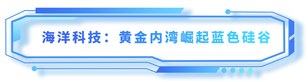 宝安：向新而行，未来已来！