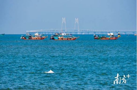 重要关头，广东省委开了一场务虚会