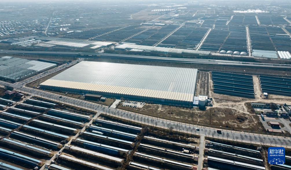 塞上江南 冬日花香