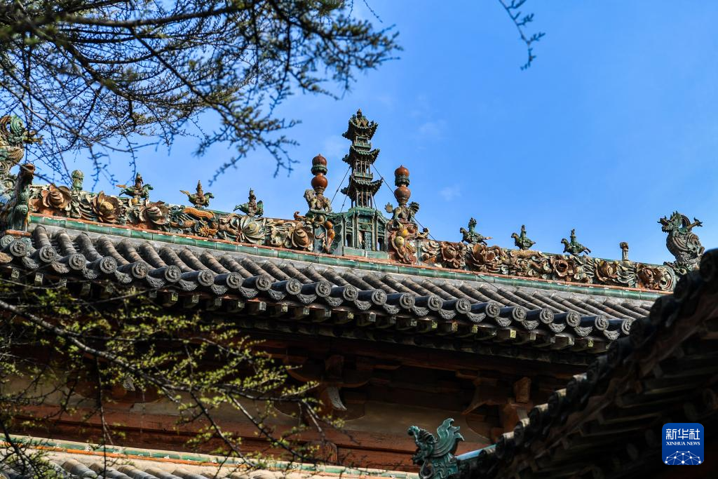 住在古建顶上的“精灵”