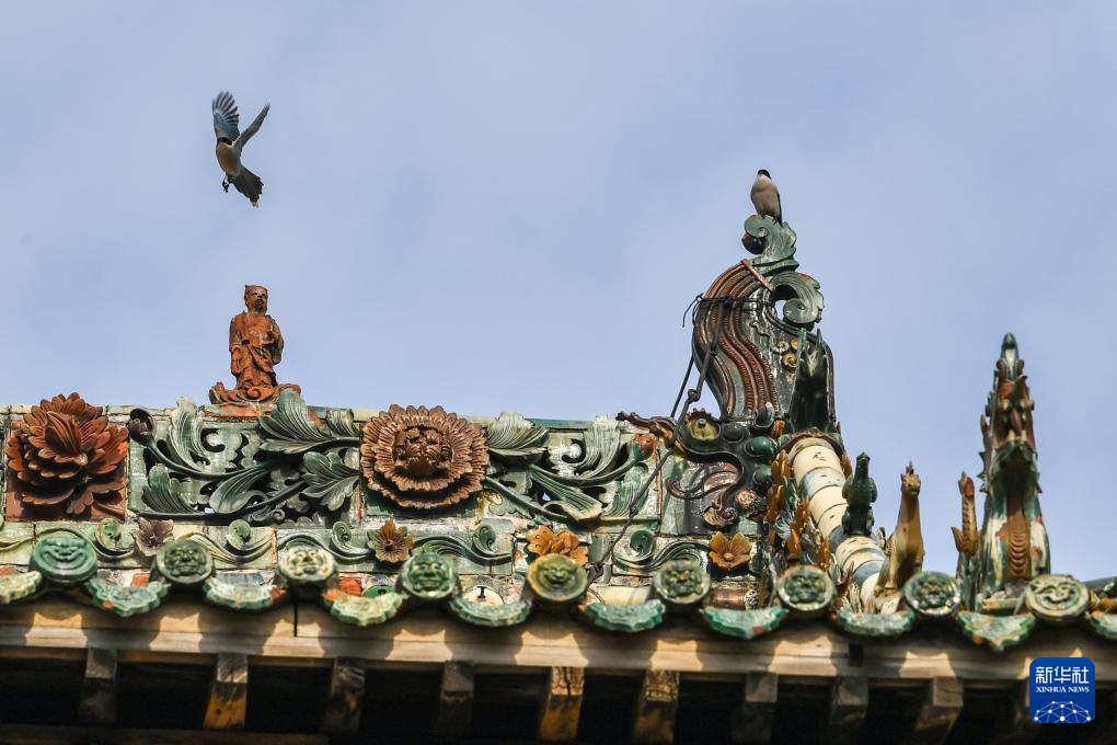 住在古建顶上的“精灵”