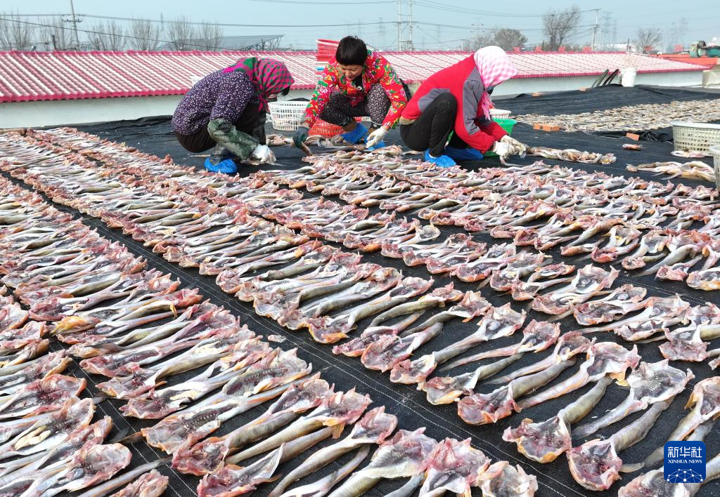 冬日海产品晾晒忙