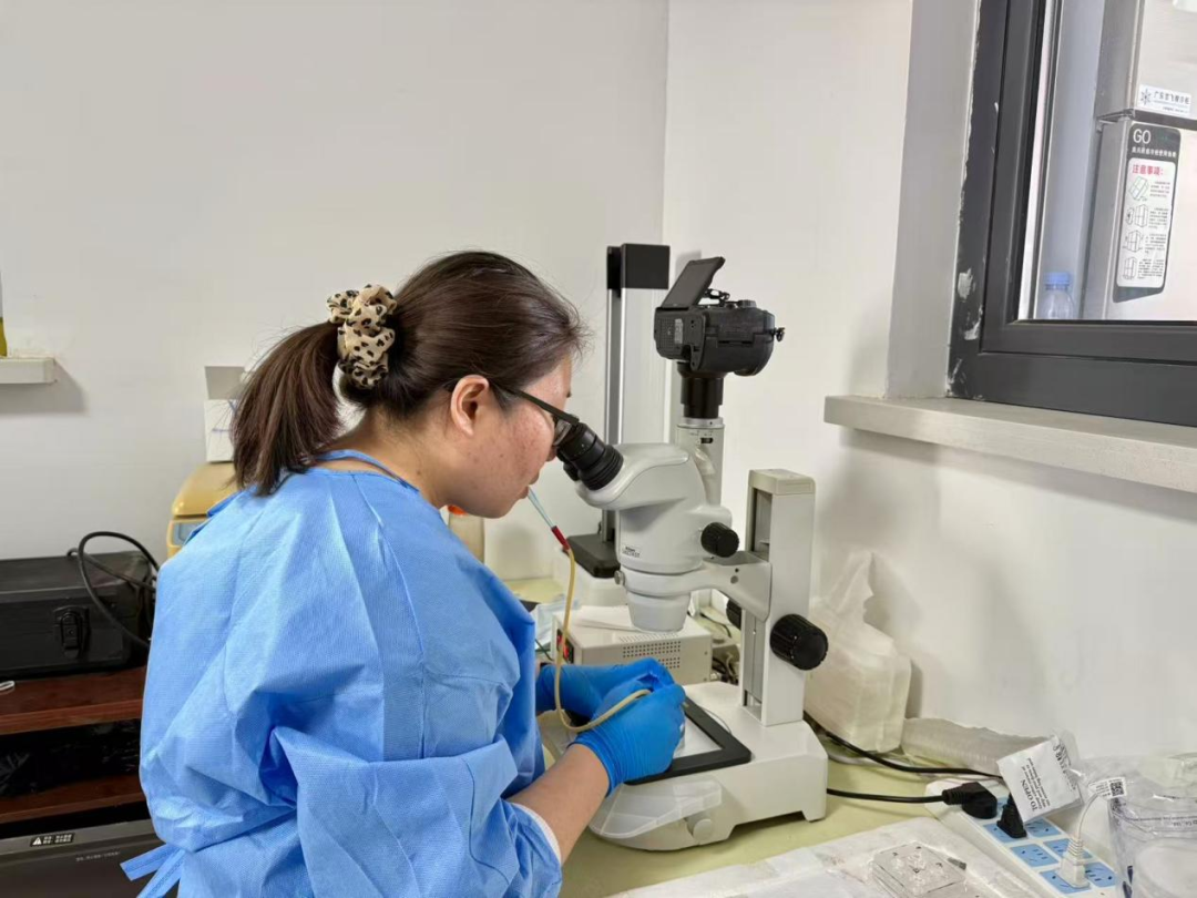 从“靠天养羊”到“科技牧羊”：鄂托克草原上的产业革命