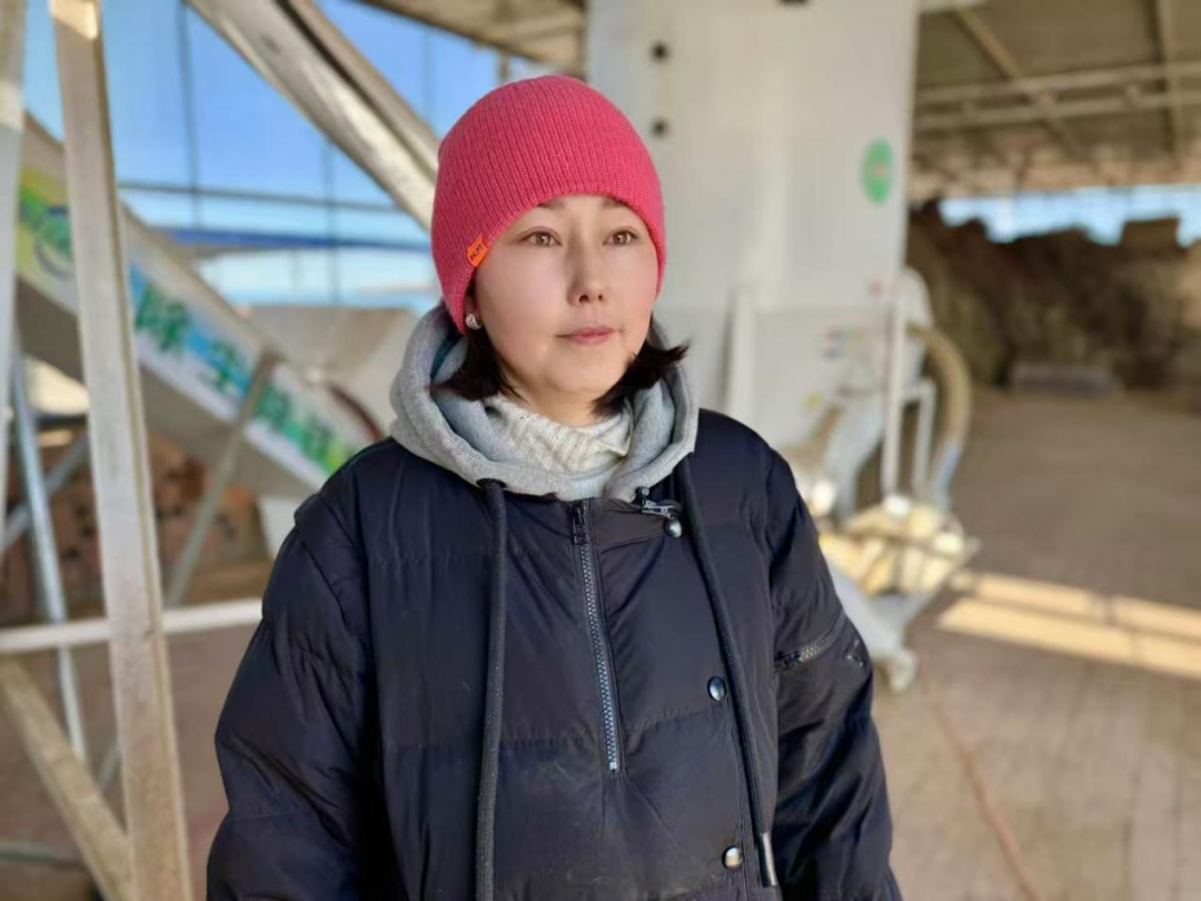 从“靠天养羊”到“科技牧羊”：鄂托克草原上的产业革命