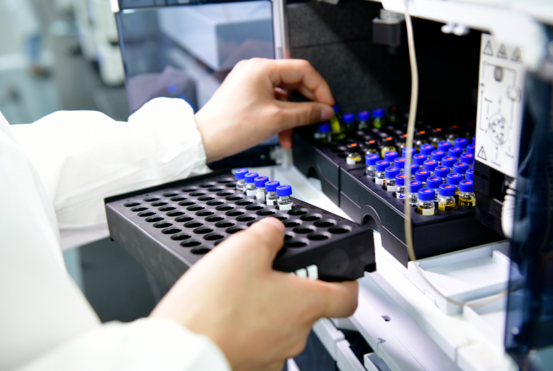 真金白银+免申即享！成都金牛“1+9”政策出炉