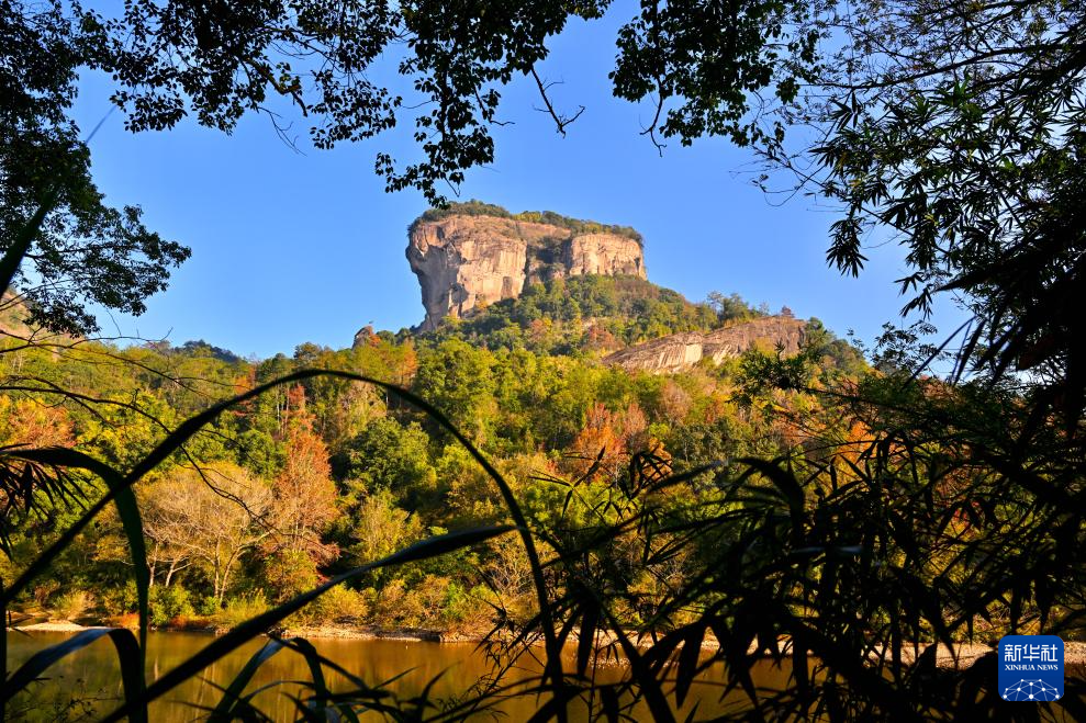 武夷冬韵醉游人