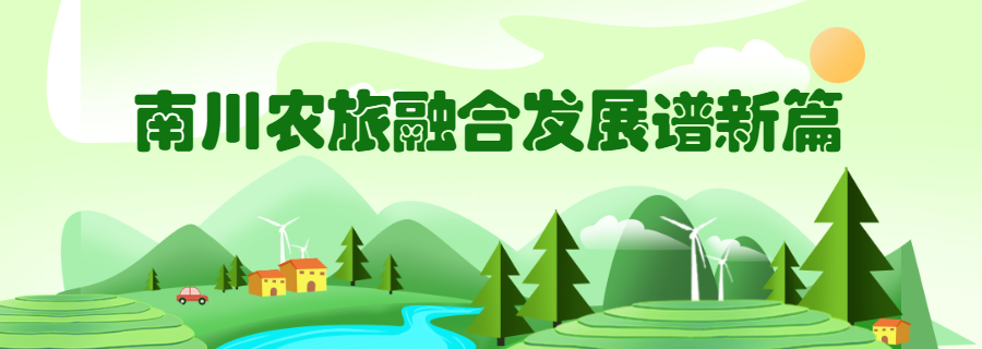 千年银杏下，真的在“长钱”！德隆镇的“金色财富”火出圈了