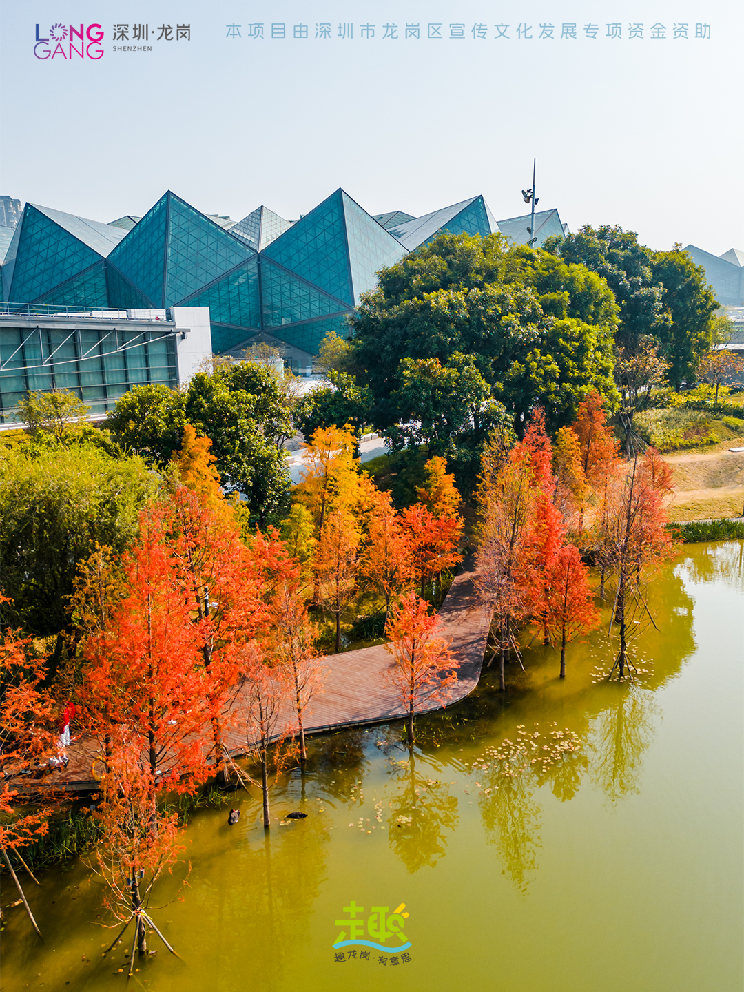 太出片啦！上深圳龙岗最浪漫的「美拉德季」即将到来！