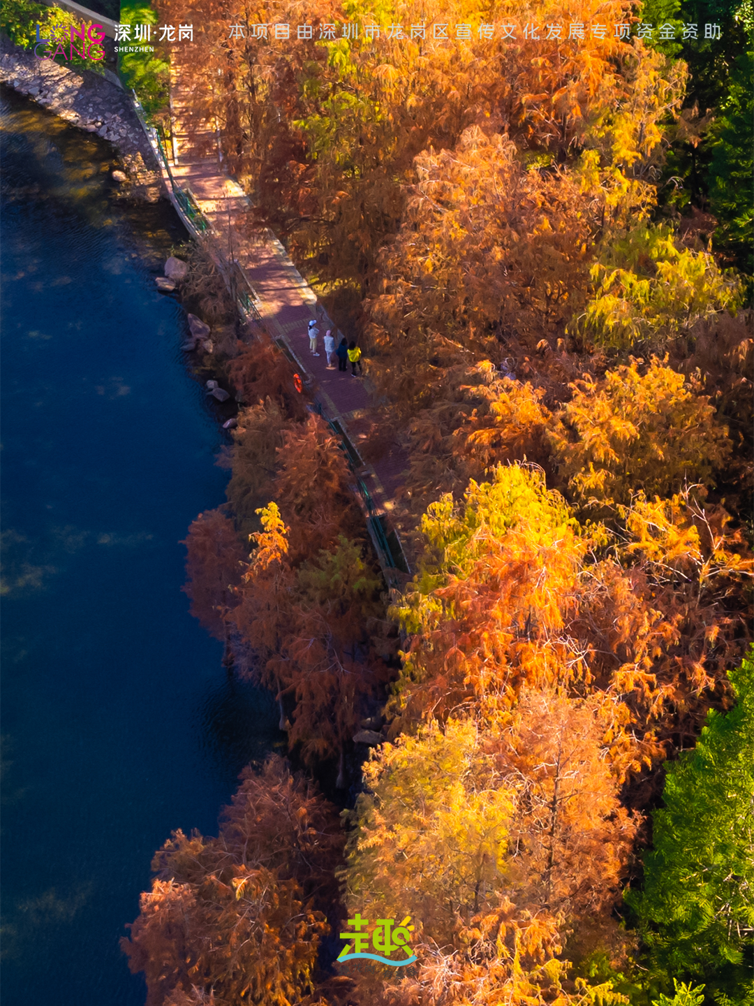 太出片啦！上深圳龙岗最浪漫的「美拉德季」即将到来！