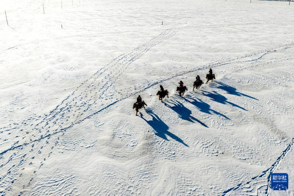 内蒙古呼伦贝尔：雪原上的骑警队