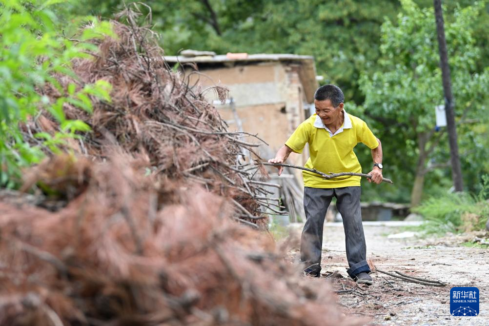 山西平顺：“爱的循环！这个村子很“暖”