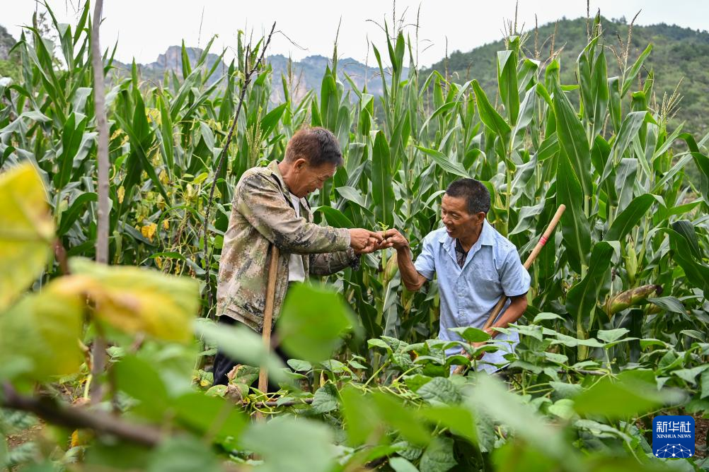 山西平顺：“爱的循环！这个村子很“暖”