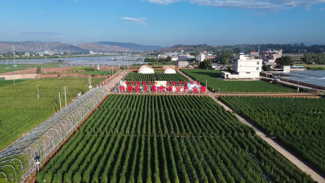 从“难繁”到“南繁”丨薪火传良种 南繁启新程