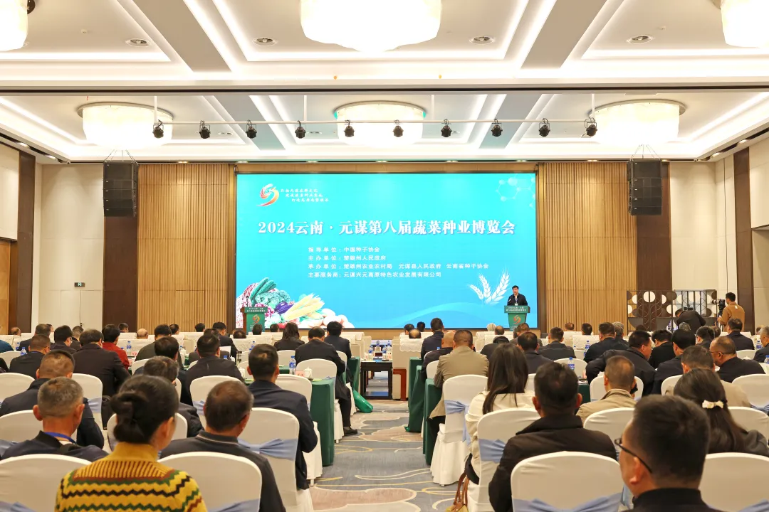 从“难繁”到“南繁”丨薪火传良种 南繁启新程