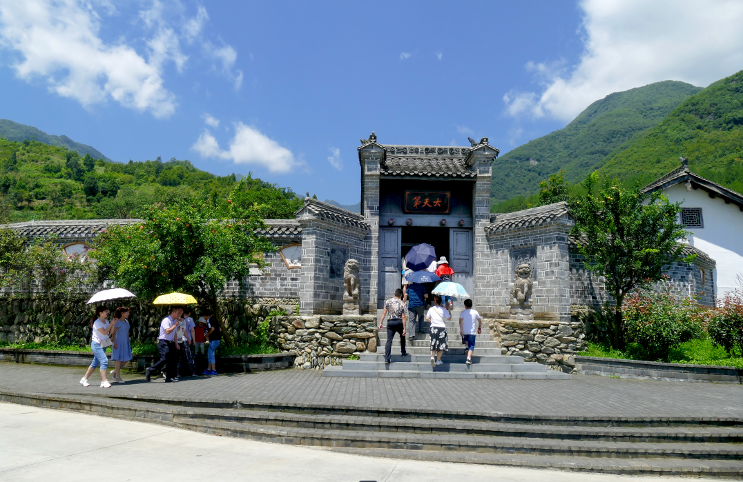 这片田，何以惊艳世界？