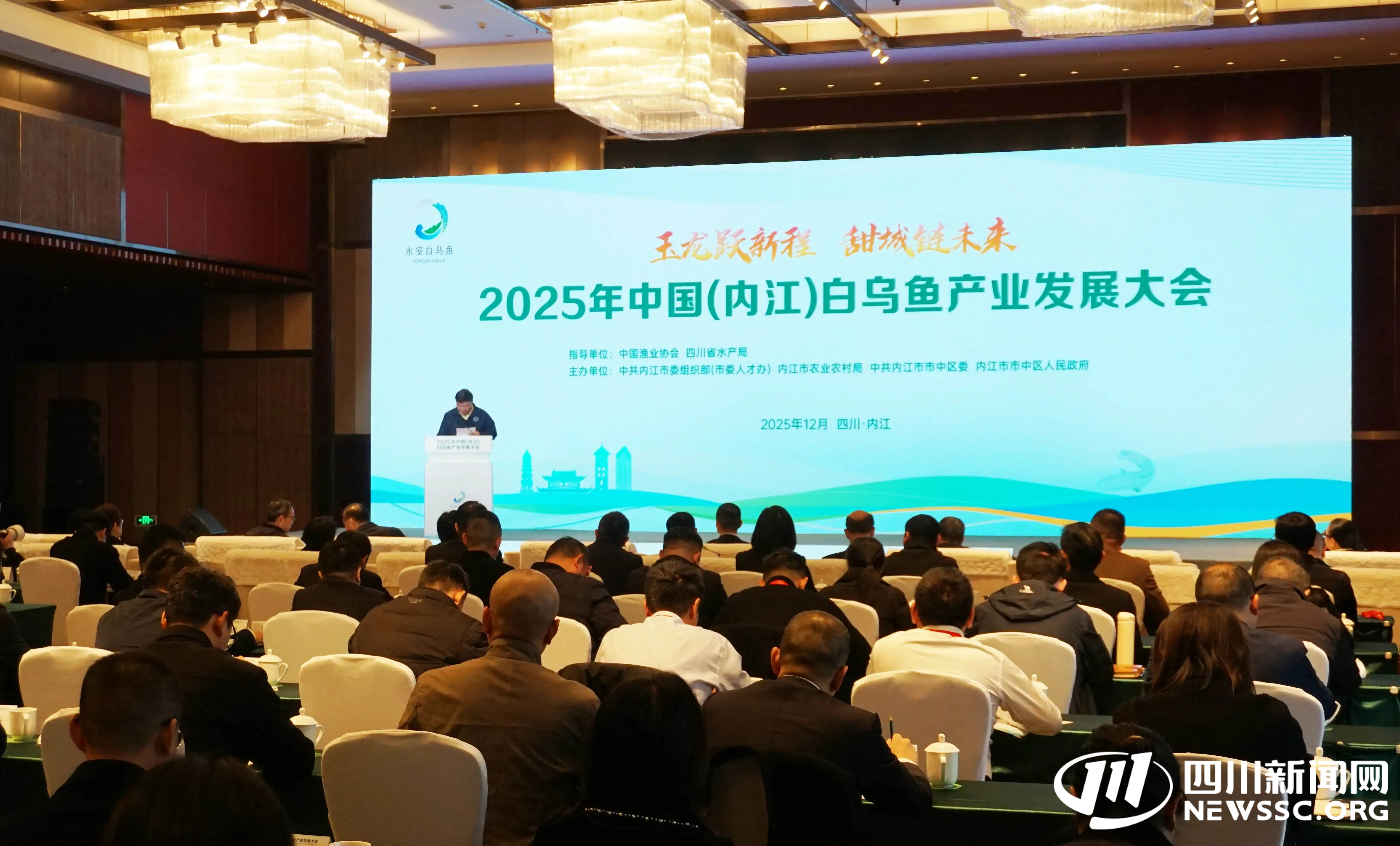 一条“白玉龙”如何游出百亿蓝图？这场大会给出“内江答案”