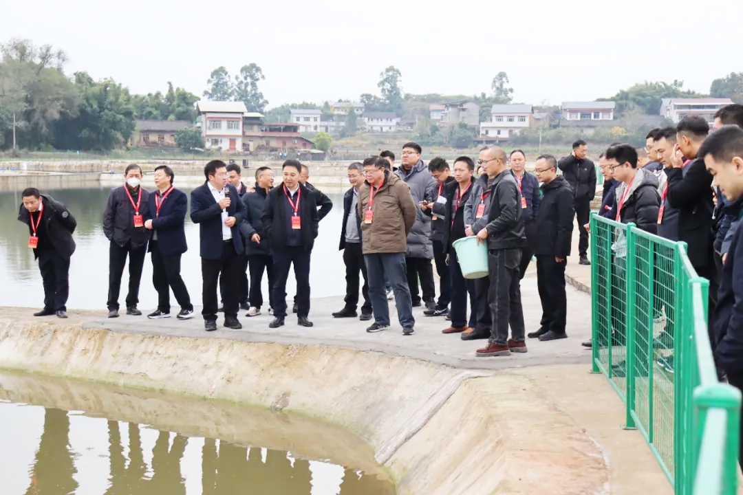 一条“白玉龙”如何游出百亿蓝图？这场大会给出“内江答案”