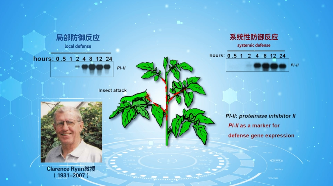 重磅!山东农大这位教授获国际顶尖学界“最高荣誉” 重磅!山东农大这位教授获国际顶尖学界“最高荣誉”