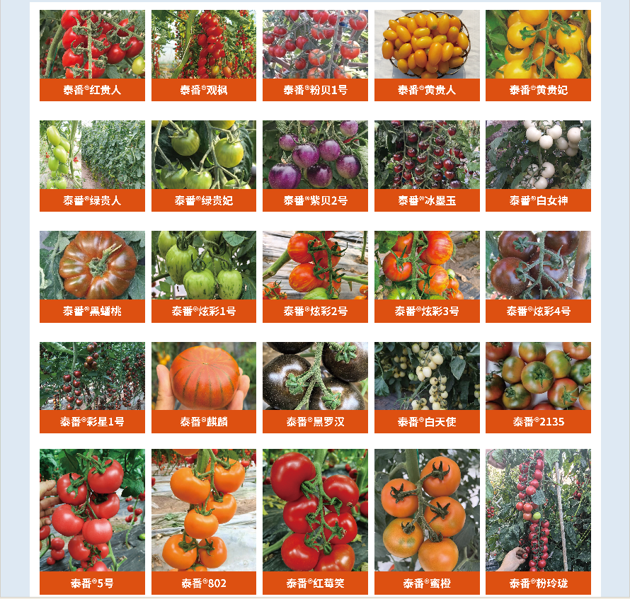 重磅!山东农大这位教授获国际顶尖学界“最高荣誉” 重磅!山东农大这位教授获国际顶尖学界“最高荣誉”