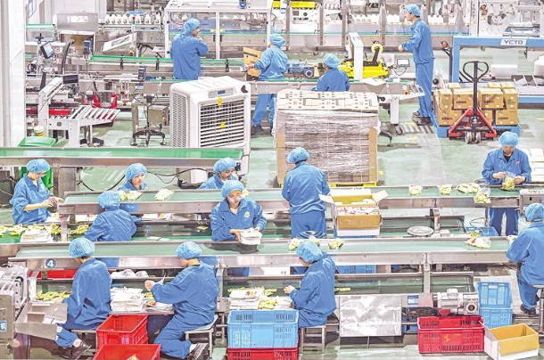 产业链从“物理连接”迈向“化学反应” 创新联合体的“银川实验”