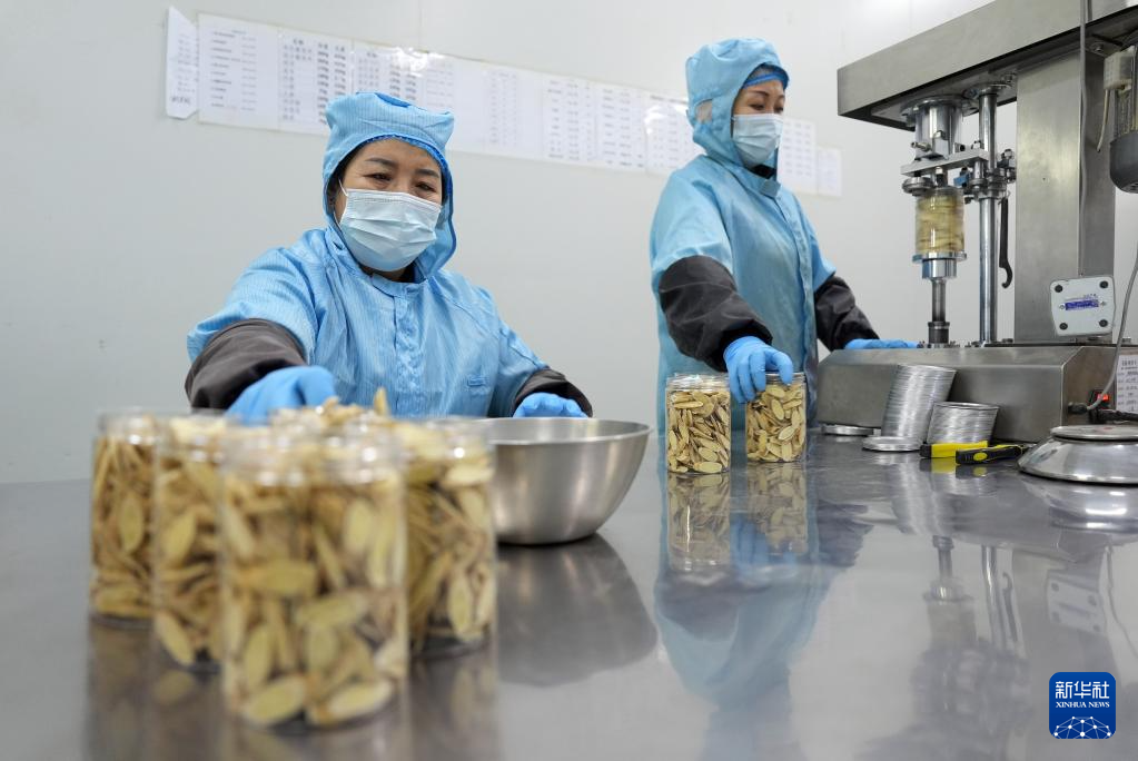 宁夏隆德：深化闽宁协作 打造中药材产业高地